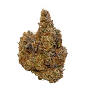 Black Forest Cake (RARE AAAA+)