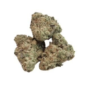 Chatterbox Smalls (RARE AAAA+)