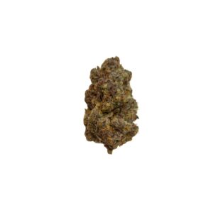 Sticky Boof (RARE AAAA+)